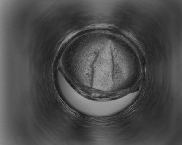 X0000052641404200507160145