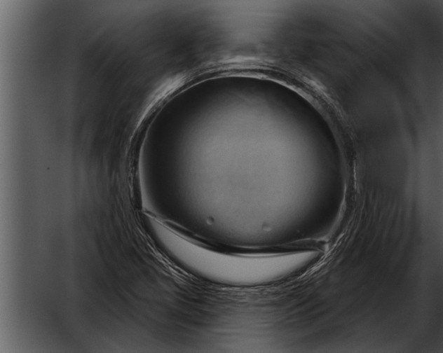 X0000052641405200507160145