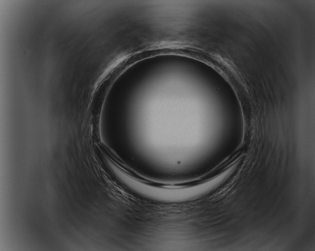 X0000052641406200507160145