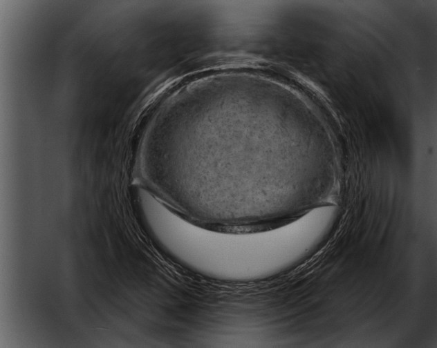 X0000052641407200507160145