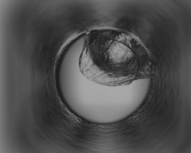 X0000052641408200507160145