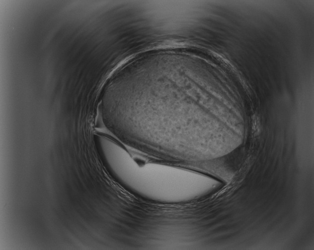 X0000052641409200507160145