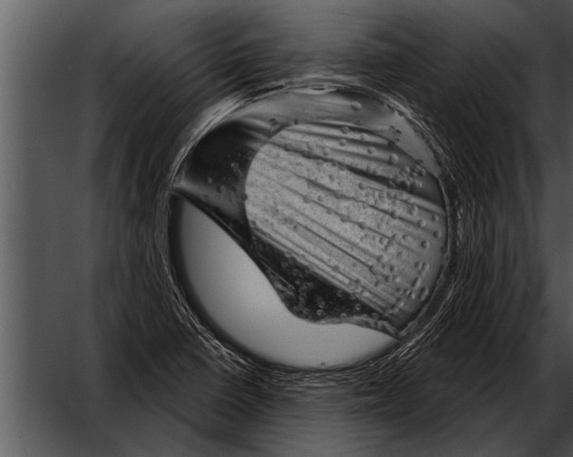 X0000052641410200507160145