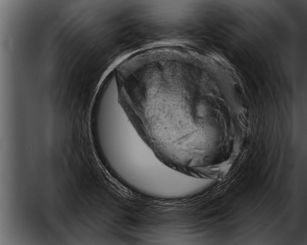 X0000052641412200507160145