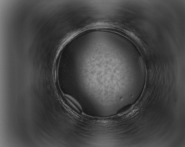 X0000052641413200507160145