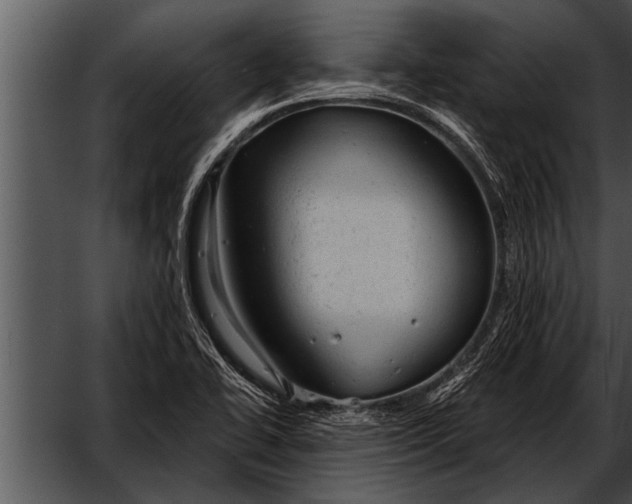 X0000052641414200507160145