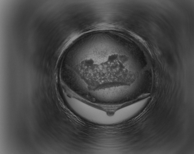 X0000052641415200507160145