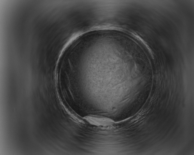 X0000052641416200507160145