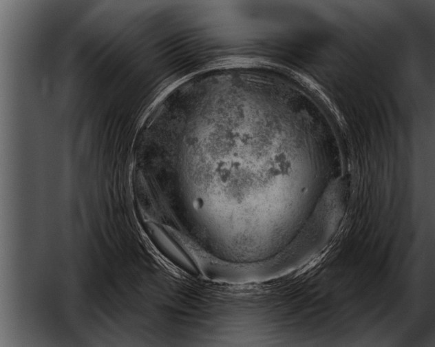 X0000052641417200507160145