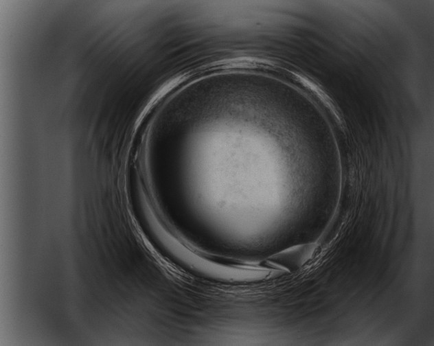 X0000052641418200507160145