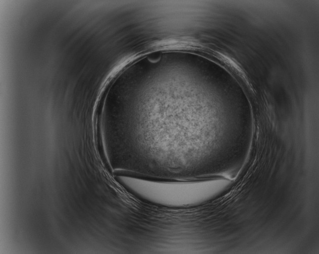 X0000052641419200507160145