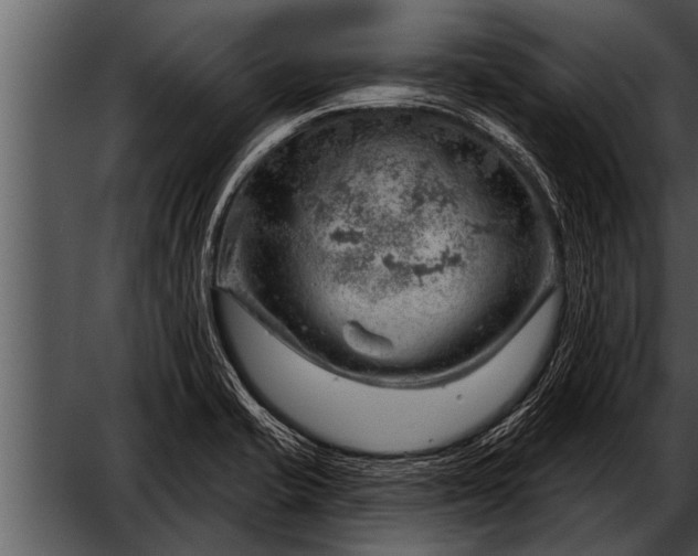 X0000052641421200507160145