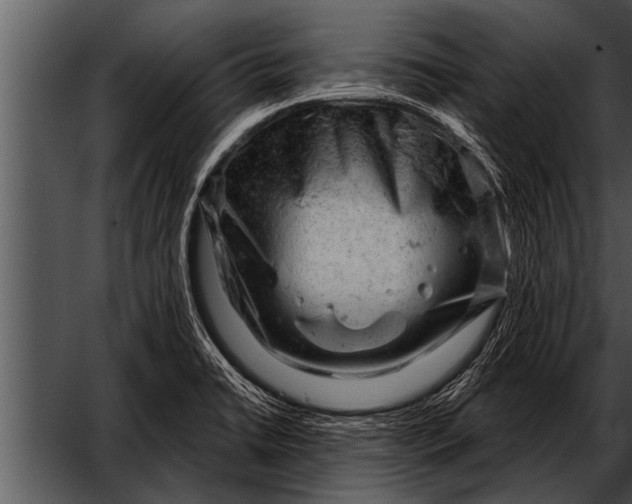 X0000052641422200507160145