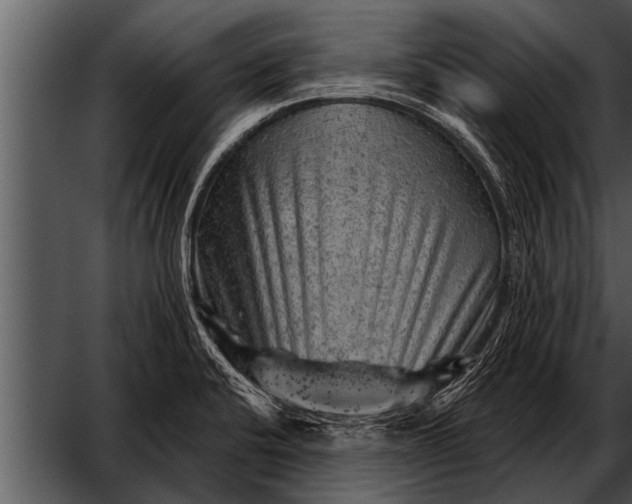 X0000052641424200507160145