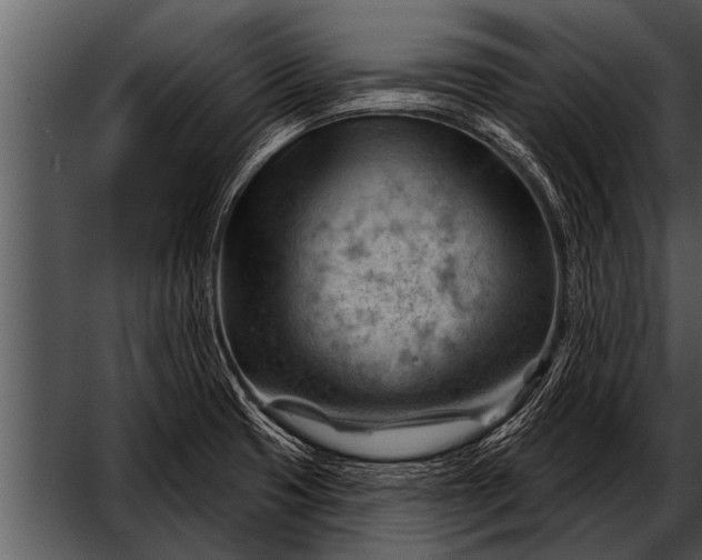 X0000052641425200507160145