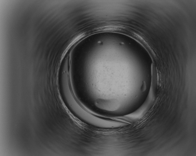 X0000052641426200507160145