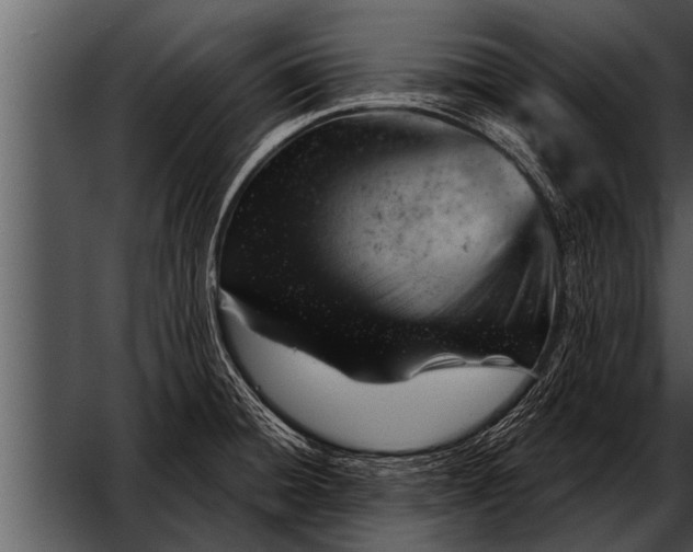 X0000052641428200507160145