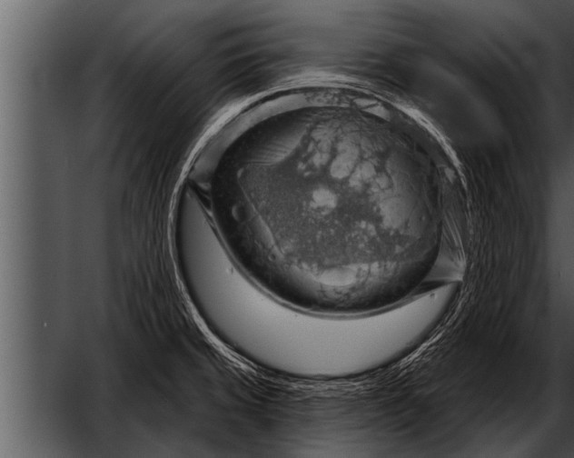 X0000052641429200507160145