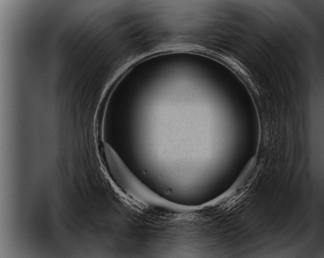 X0000052641430200507160145