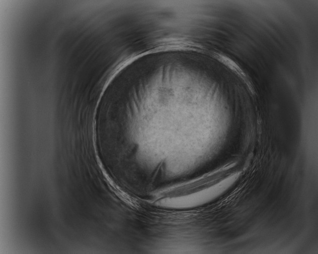 X0000052641431200507160145