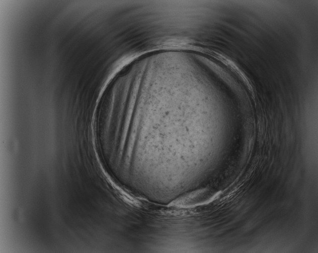 X0000052641432200507160145