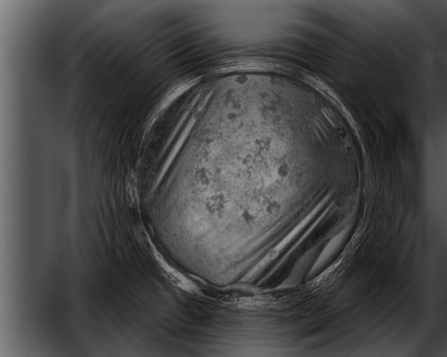 X0000052641433200507160145