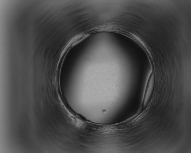 X0000052641434200507160145