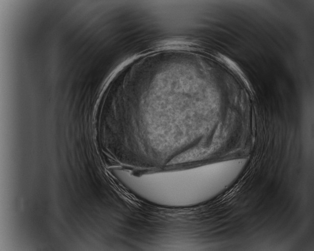 X0000052641435200507160145