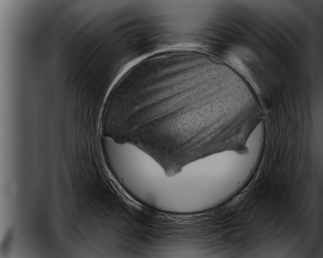 X0000052641436200507160145