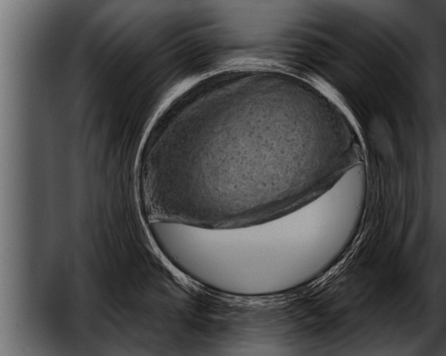 X0000052641437200507160145