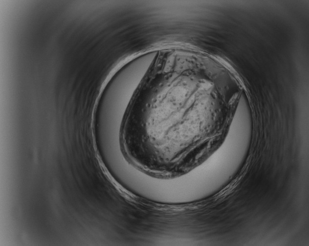 X0000052641438200507160145