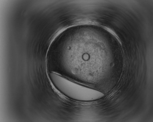 X0000052641439200507160145