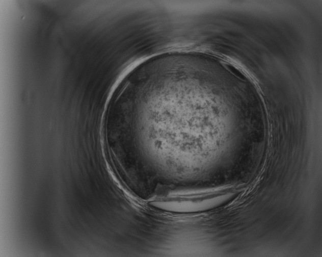 X0000052641440200507160145