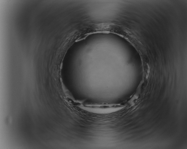 X0000052641441200507160144