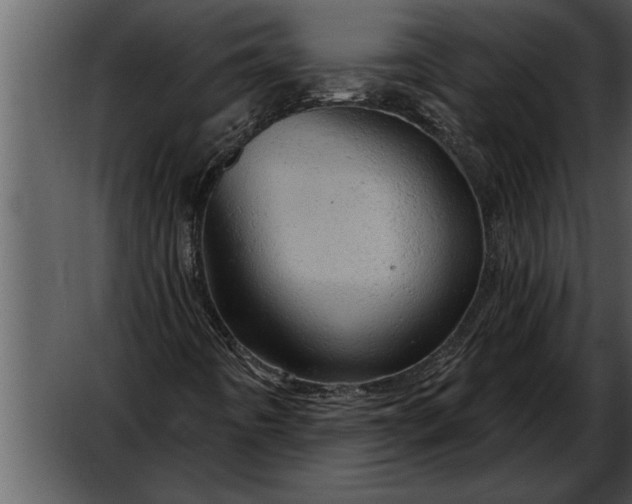 X0000052641442200507160144