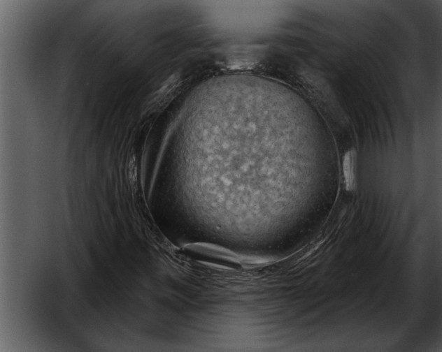 X0000052641443200507160144