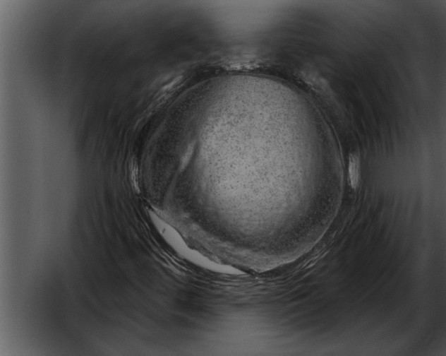 X0000052641444200507160144