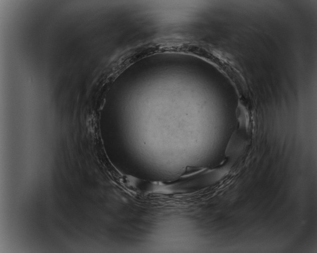 X0000052641445200507160144