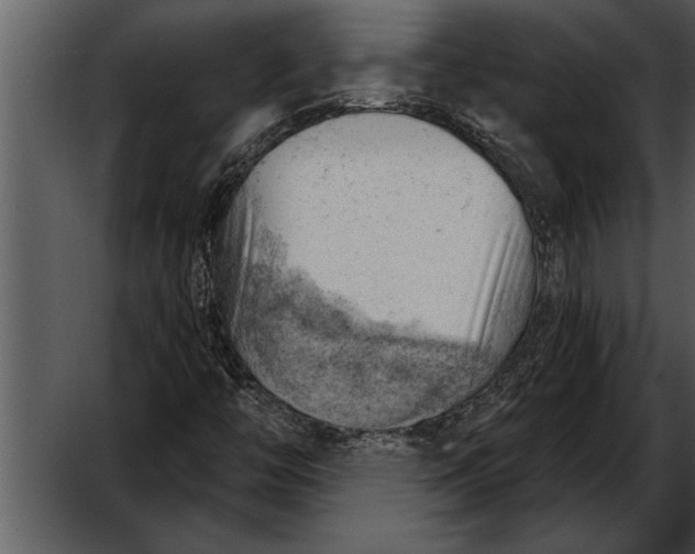 X0000052641446200507160144