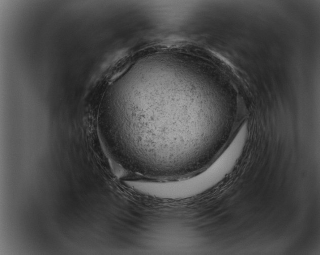 X0000052641447200507160144