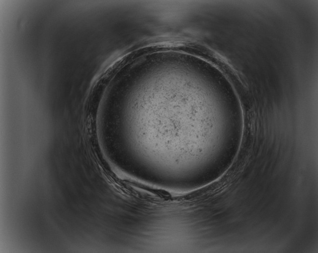 X0000052641448200507160144