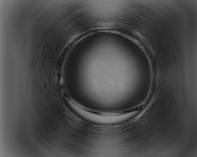 X0000052641449200507160144