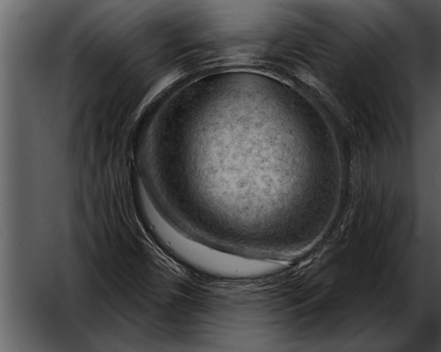 X0000052641450200507160144