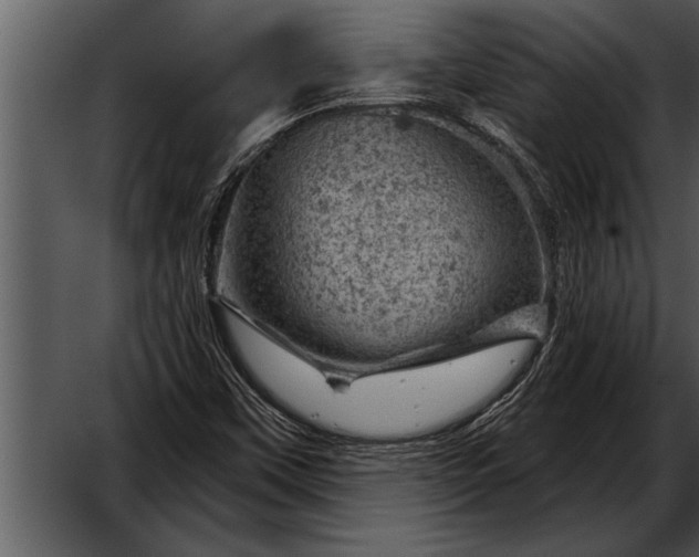 X0000052641451200507160144