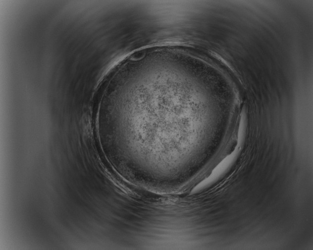 X0000052641452200507160144