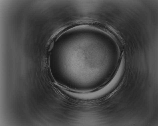 X0000052641453200507160144