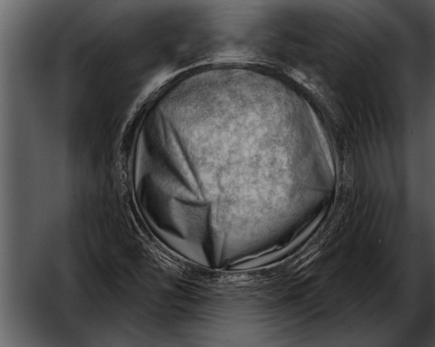 X0000052641454200507160144