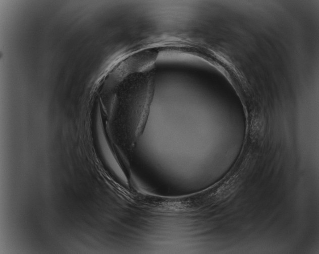 X0000052641455200507160144