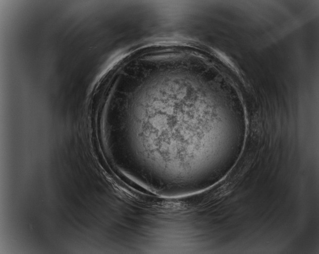 X0000052641456200507160144