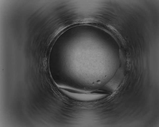 X0000052641457200507160144